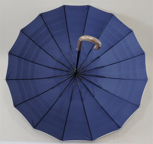 685*16K Double-layer Canopy